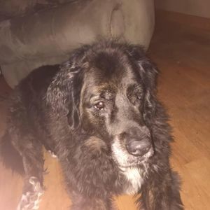 Meet your Posher, Dylan